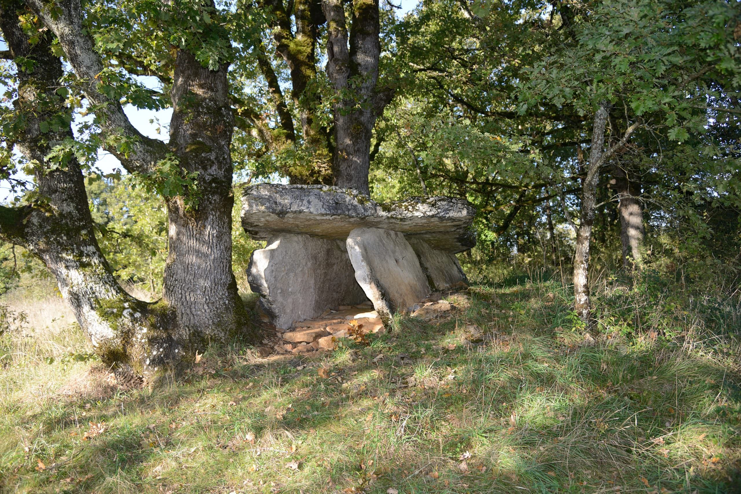 Dolmen des Costes Basses